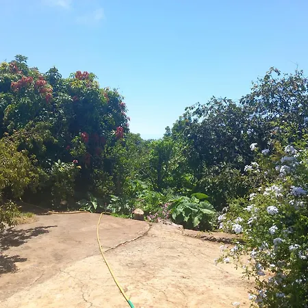 Hébergement de vacances La Carpintera